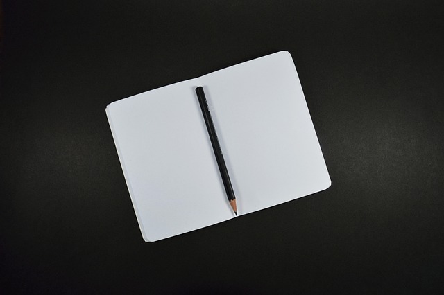 Die Bedeutung von Soft Skills an Handelshochschulen